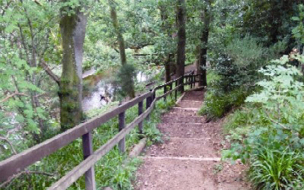 Sanquhar woodlands