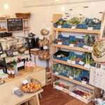 Pop-up shop in Forres