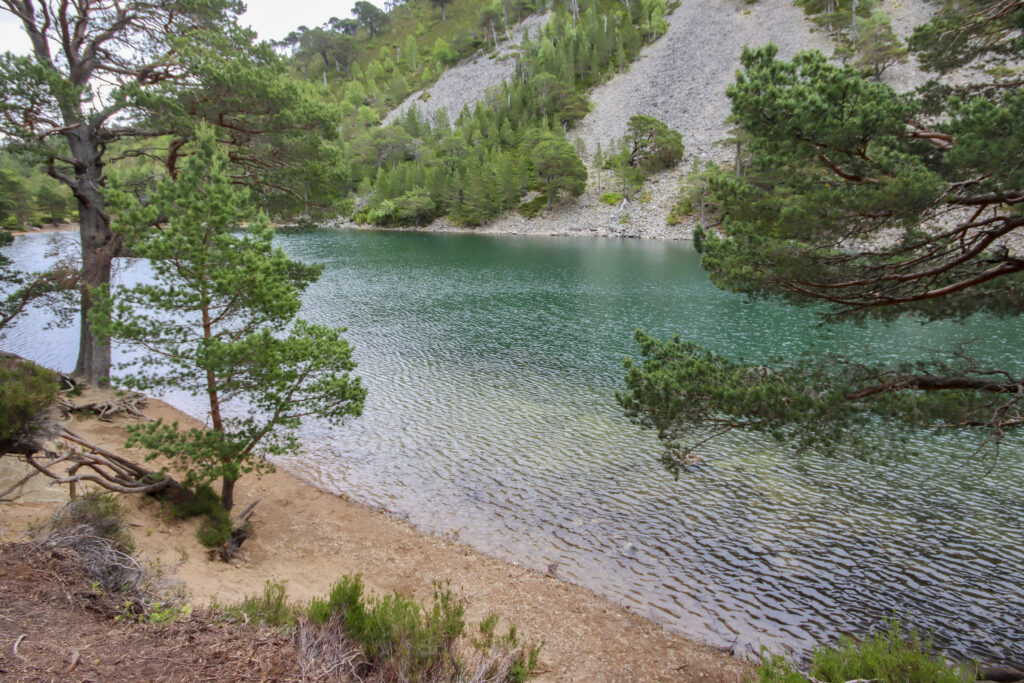 The colours of the Green Loch are magical