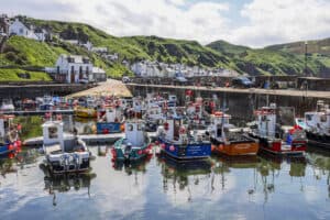 Gardenstown