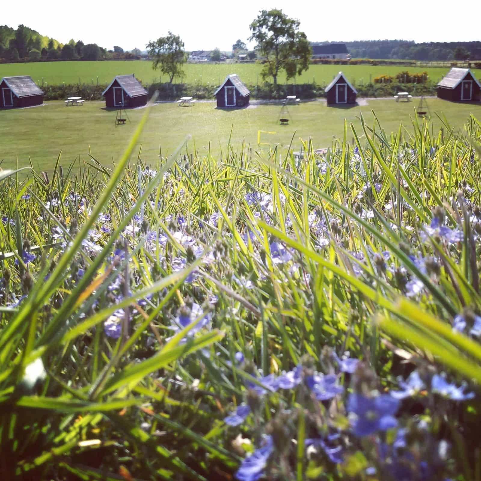 There are five pods at Macbeth's Hillock