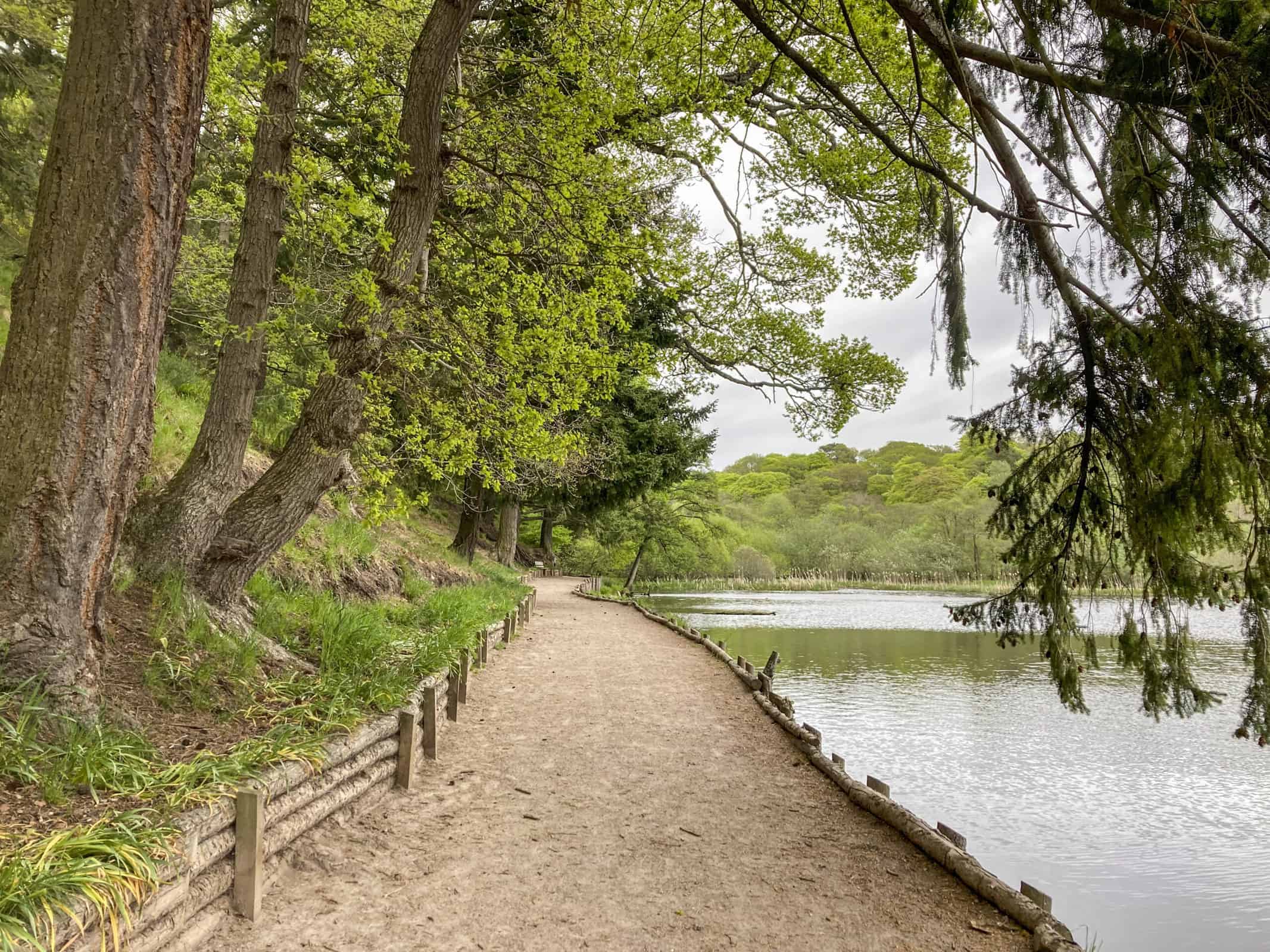 Sanquhar Pond: A quiet local secret