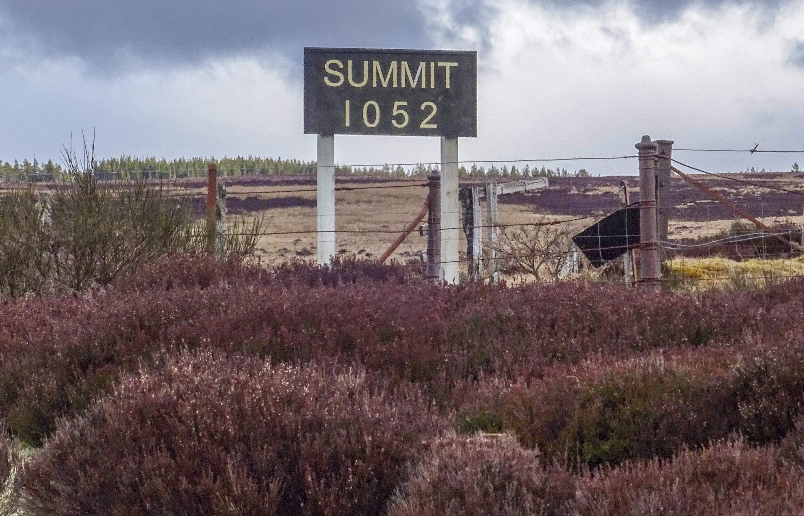The Dava Way – an old railway, reformed